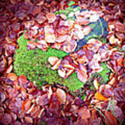 Forest Floor In Fall Brown Foliage Green Moss Art Print