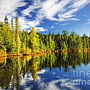 Forest Reflecting In Lake Art Print