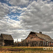 Found On The Prairies Art Print