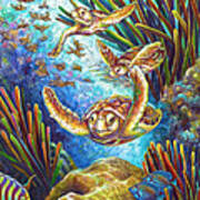 Four Loggerhead Turtles Art Print