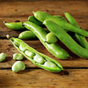 Fresh Broad Beans In Their Pods Art Print