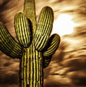 Full Moon Saguaro Art Print