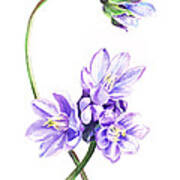 Gentle Purple Flowers Art Print