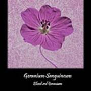 Geranium Purple Poster 2 Art Print