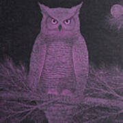 Get Pinked Great Horned Owl Art Print