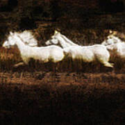 Ghost Horses Art Print