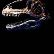 Giganotosaurus Skull 2 Art Print