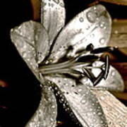 Gilded Lilies 3 Art Print