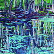 Ginnie Springs Reflections I Art Print