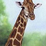 Giraffe Painting Art Print