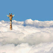 Giraffe Sticking His Head Out Of Clouds. Art Print