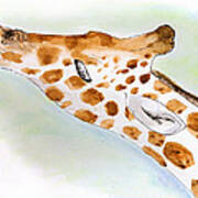 Giraffe With Tongue Out Art Print