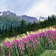 Glacier Valley Fireweed Art Print