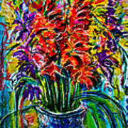 Gladiolus Art Print