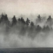 Glimpse Of Mist And Trees Art Print