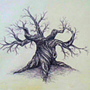 Gnarled Tree Art Print