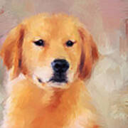 Golden Retriever Art Print