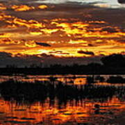 Golden Sunset Over The Pond Art Print
