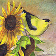 Goldfinch And Sunflowers Art Print