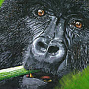 Gorilla Art Print