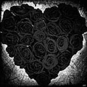 Gothic Romance Black Roses Digital Art By Absinthe Art By Michelle Leann Scott