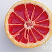 Grapefruit Mandala Art Print