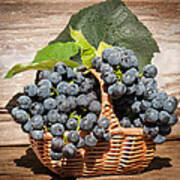 Grapes And Leaves In Basket Art Print