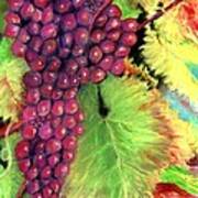 Grapes On Vine Pastel Art Print