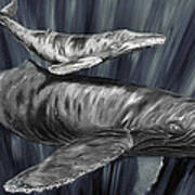 Gray Whales Art Print