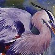 Great Blue Heron Art Print