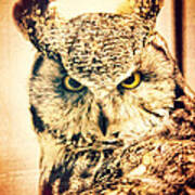 Great Horned Owl Vintage Portrait Art Print