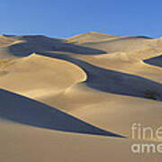 Great Sand Dunes National Park Art Print