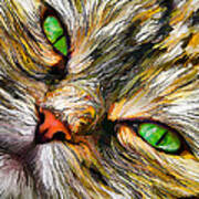 Green-eyed Tortie Art Print