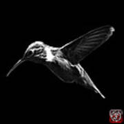 Greyscale Hummingbird - 2054 F Art Print