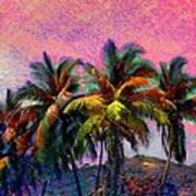 H Grove Of Coconut Trees - Horizontal Art Print