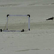 Guarding The Goal Post Art Print