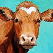 Guernsey Cow On Light Teal No Horns Art Print