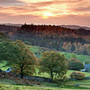 Gwydyr Forest, Snowdonia, Wales Art Print