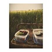 Had A Picnic Dinner While Watching The Art Print