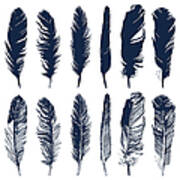 Hand Drawn Feathers Set On White Art Print