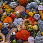 Harvest Abundance Art Print