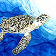 Hawksbill Sea Turtle 2 Art Print