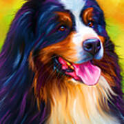 Colorful Bernese Mountain Dog Painting Print by Michelle Wrighton