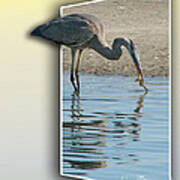 Heron And Sea-horse Art Print