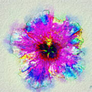 Hibiscus Art Print