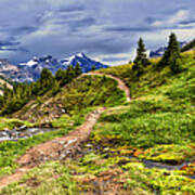 High Mountain Trail Art Print