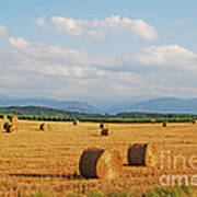 High Summer Harvest Art Print