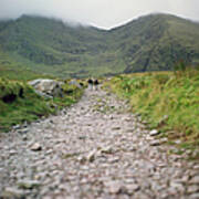 Hikers On A Long Trail Into The Art Print