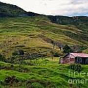 Hillside Cabin Art Print