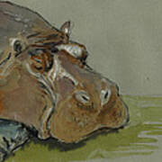 Hippo Sleeping Art Print